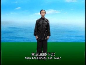 气功大舞分解教学视频,循序渐进的养生修炼之旅