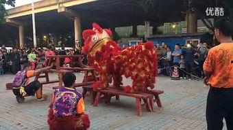 农村醒狮表演视频大全,传统民俗文化的精彩呈现