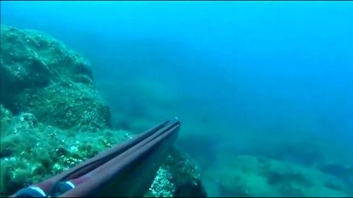 海底捕鱼视频,揭秘海底捕鱼惊险瞬间