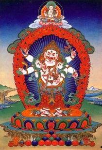 哈嘎拉视频,探寻神秘视频背后的故事