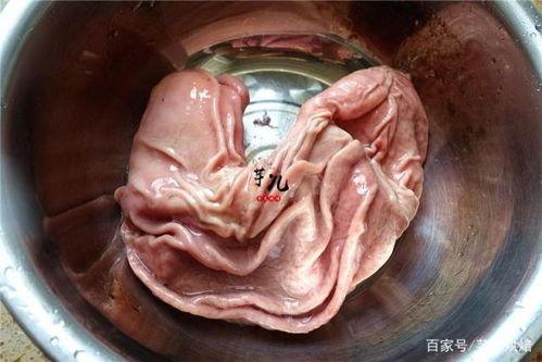 清洗猪肚视频,跟随视频学习高效清洁技巧