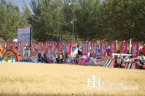 庆安视频,揭秘事件背后真相与争议